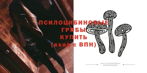 дживик Володарск