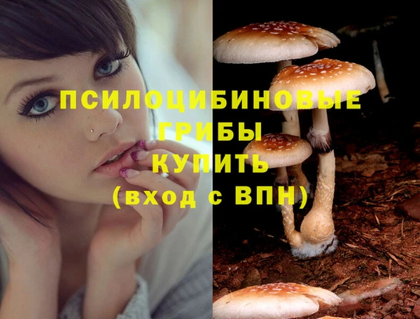кокс Волосово