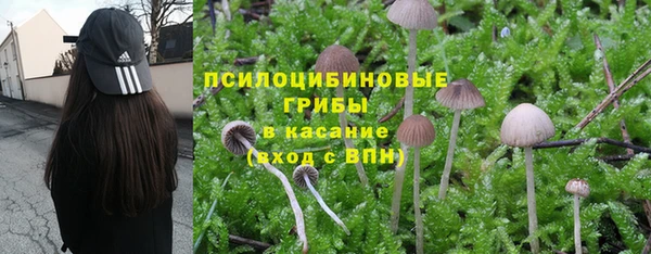 дживик Володарск