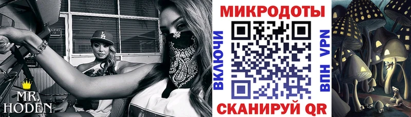 даркнет телеграм  где найти   Сретенск  Псилоцибиновые грибы мухоморы 